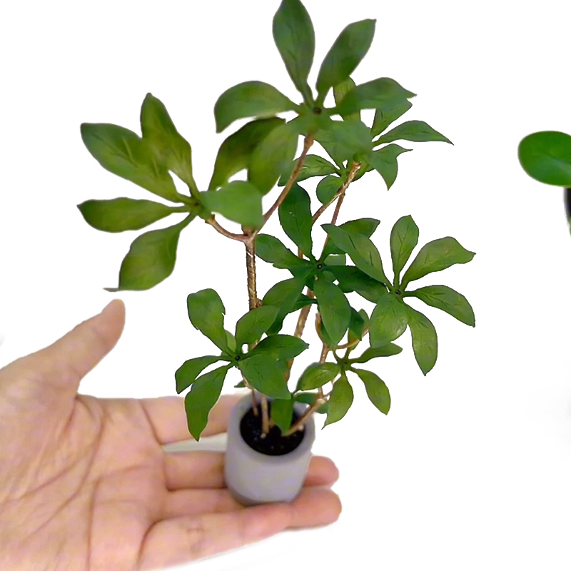 Bonsai Garden Miniature - 1:6 인형의 집 미니어처 화분 모델,