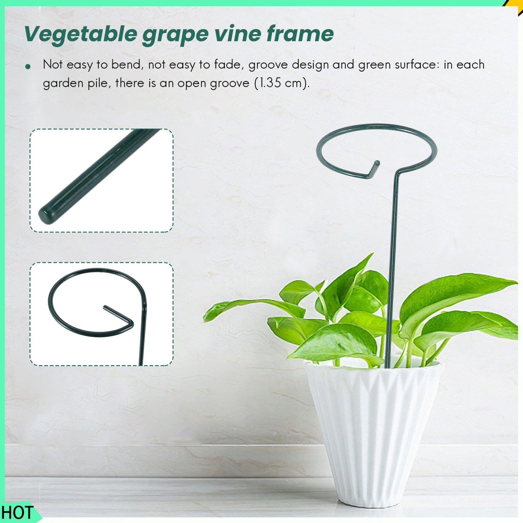 Bonsai Garden Backyard - AWAH 8PCS 아름다운 식물 지원 스탠드