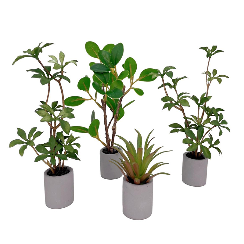 Bonsai Garden Miniature - 1:6 인형의 집 미니어처 화분, 녹색