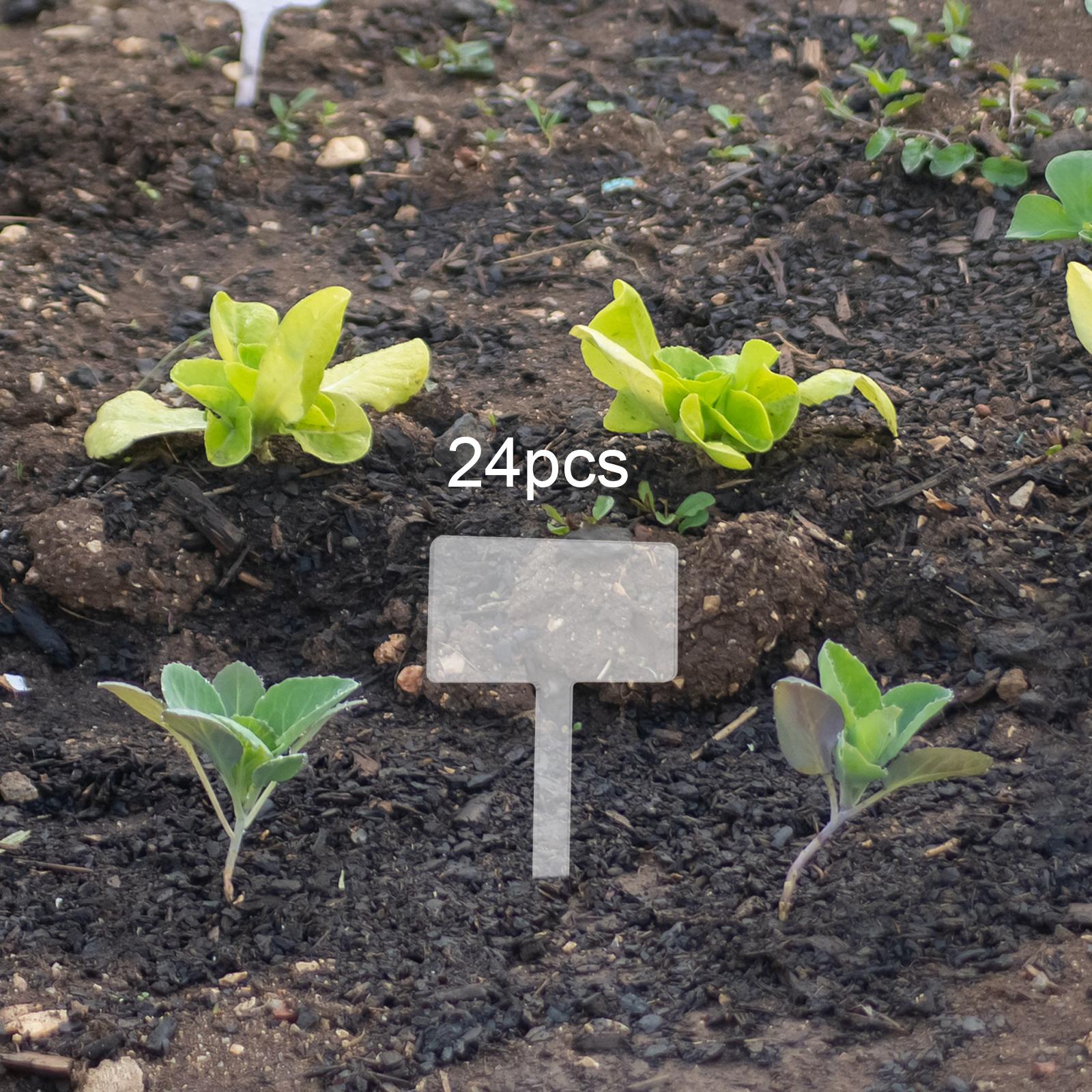 Bonsai Garden Name - 24x 아크릴 식물 태그 식물 이름표,