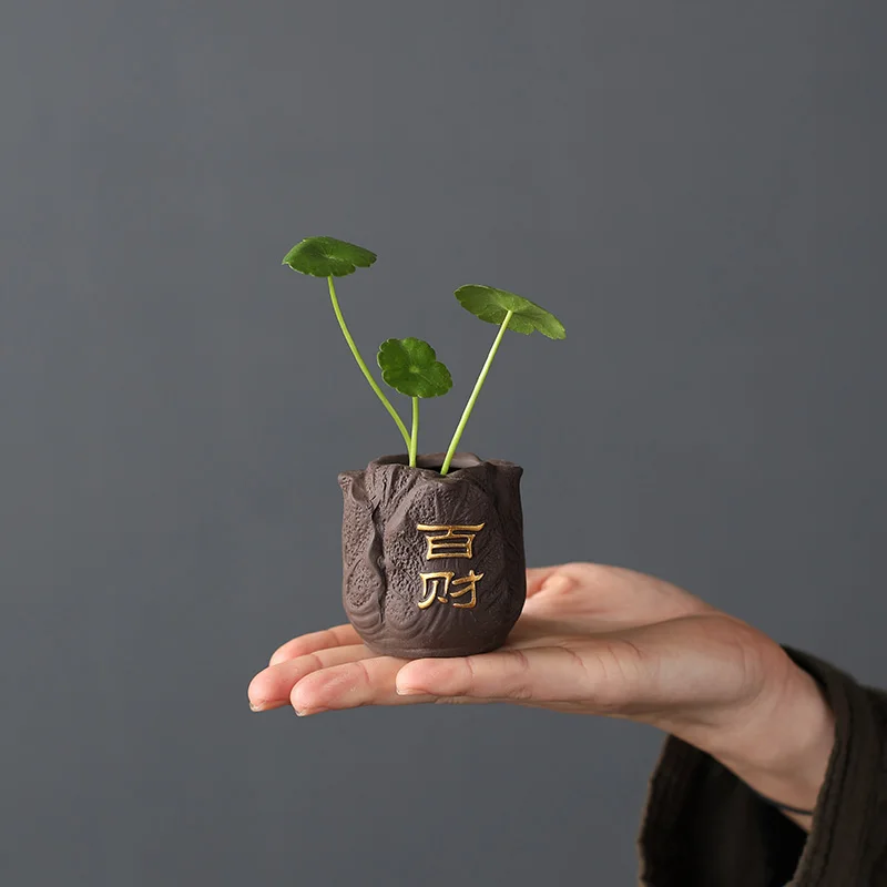 크리 에이 티브 보라색 점토 차 애완 동물 손가락 집  - Bonsai Garden Ornaments 리뷰 및 가격