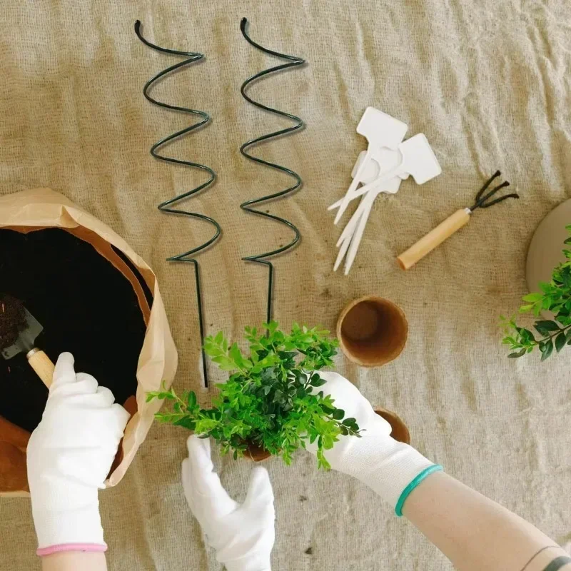 등반식물 지지대 스탠드, 덩굴식물 랙, 토마토 나선형  - Bonsai Gardener 리뷰 및 가격