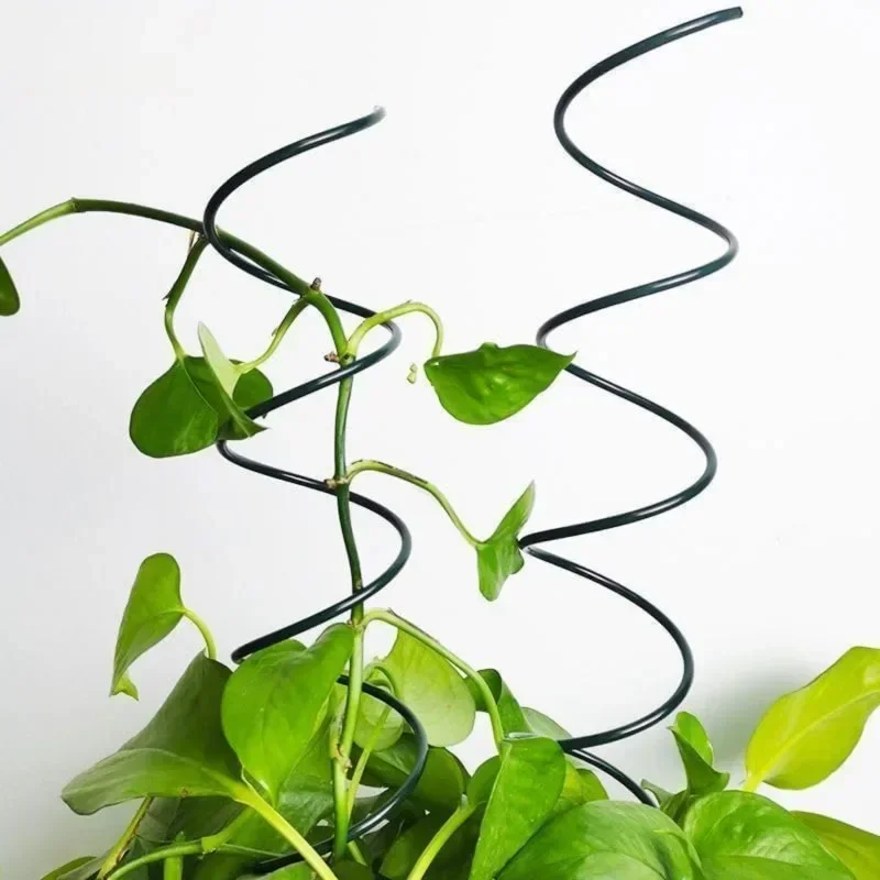 등반식물 지지대 스탠드, 덩굴식물 랙, 토마토 나선형  - Bonsai Gardener 리뷰 및 가격