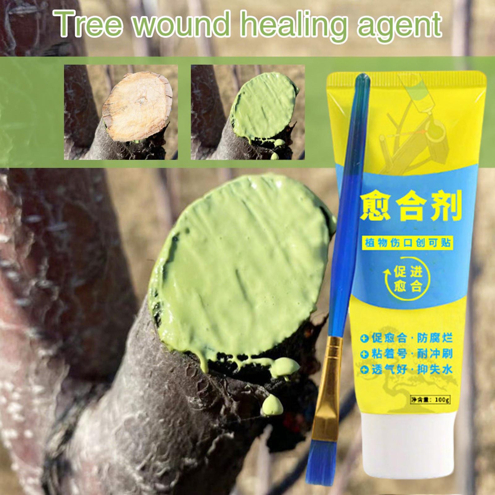 100g 나무 상처 분재 절단 페이스트 도포제 전정용  - Bonsai Garden Tree 리뷰 및 가격