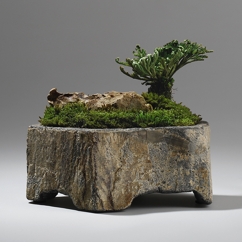 현무암 천연석 화분 수제 다육식물 화분 실내외 데스크탑 - Bonsai Garden Indoor 리뷰 및 가격