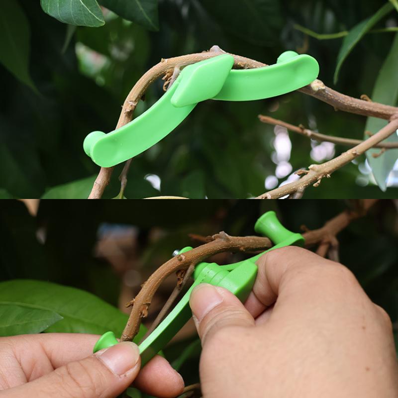 5 개/대 나무 벤딩 도구 분재 훈련을위한 두꺼운 지점 - Bonsai Tool Set 리뷰 및 가격