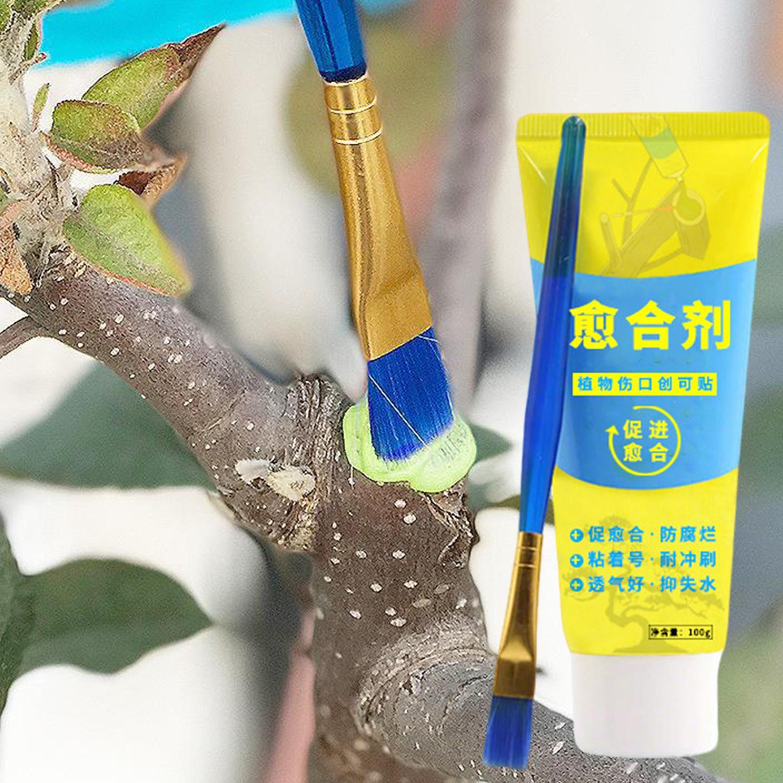 식물 손상 복구 및 재생 씰링제, 나무 상처 보석목 재 - Bonsai Garden Tree 리뷰 및 가격