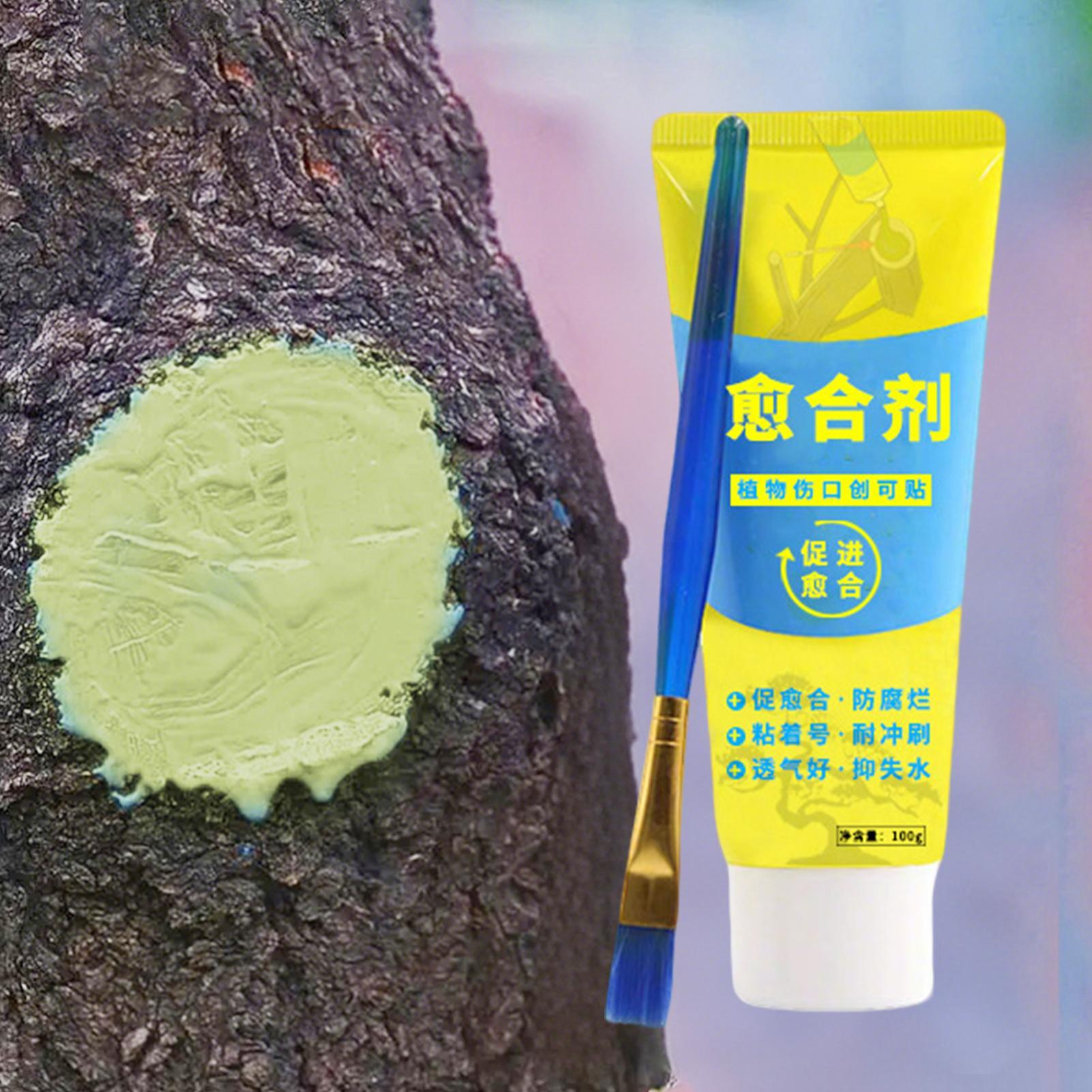 식물 손상 복구 및 재생 씰링제, 나무 상처 보석목 재 - Bonsai Garden Tree 리뷰 및 가격