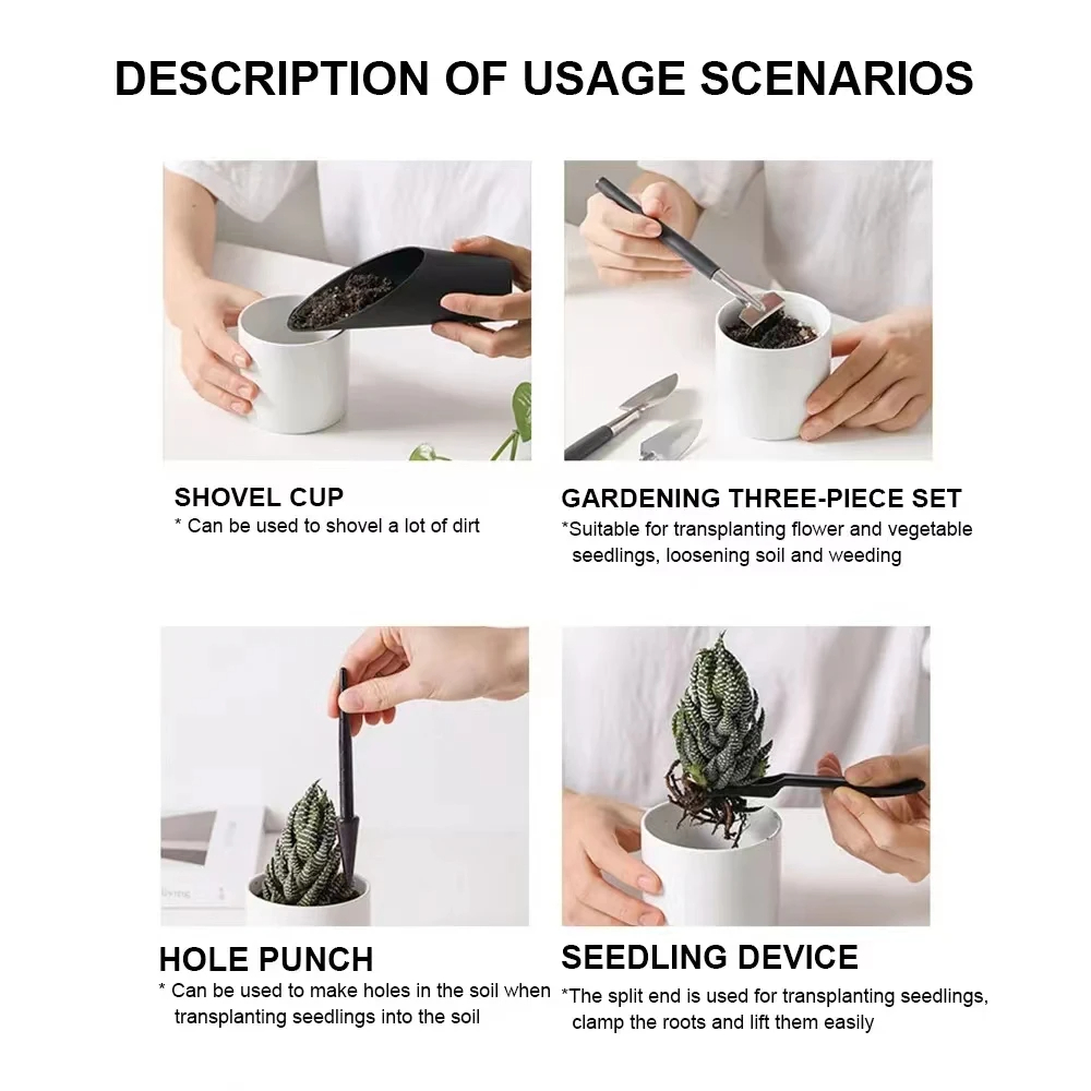 5/8/13/15/16pcs 정원 화분 키트 즙이 많은 - Bonsai Garden Indoor 리뷰 및 가격