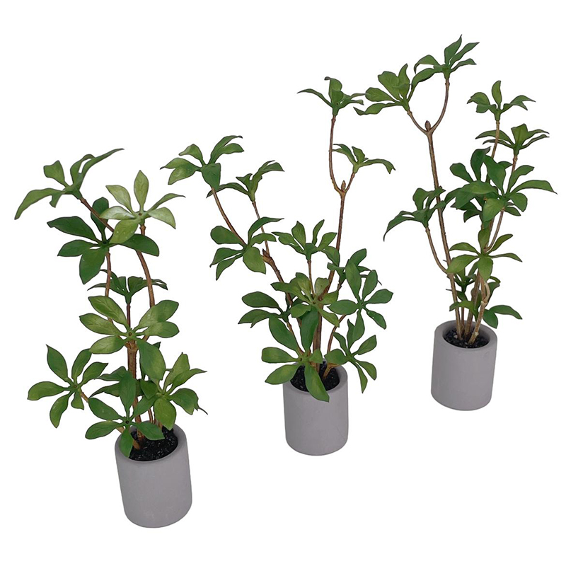 1:6 인형의 집 미니어처 화분, 녹색 잎 식물, 분재 - Bonsai Garden Miniature 리뷰 및 가격