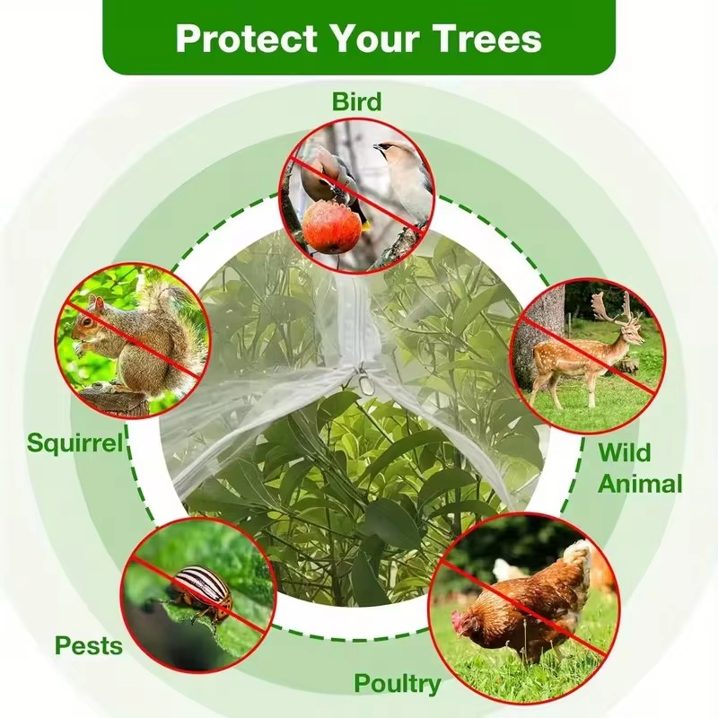 끈과 지퍼가 있는 과일나무 보호망, 새와 곤충 방지 정 - Bonsai Garden Tree 리뷰 및 가격