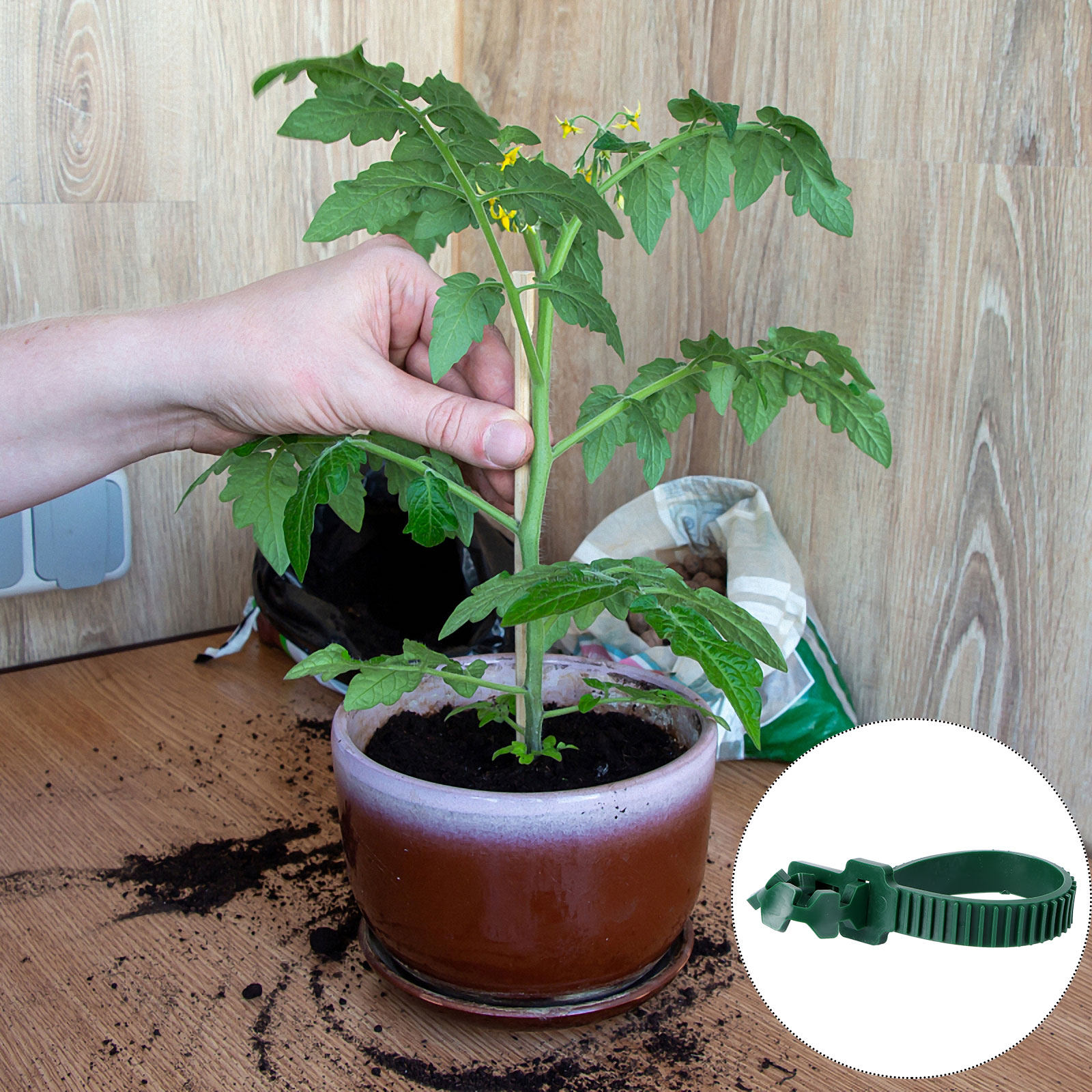20개입 덩굴 고정 버클 정원 식물 지지 클립 PVC  - Bonsai Gardener 리뷰 및 가격