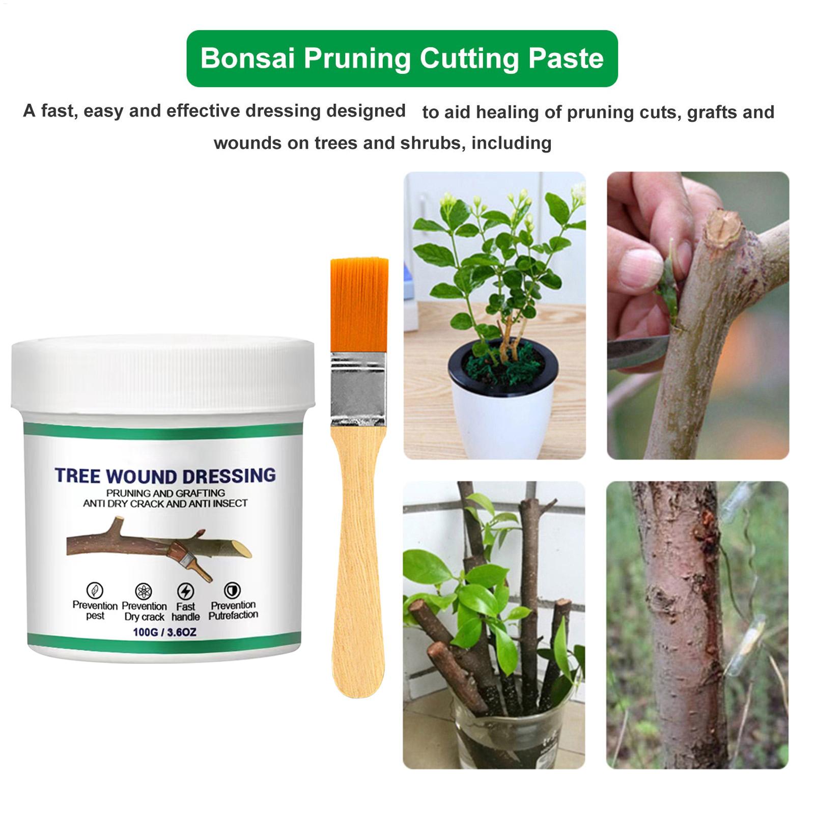 100g 나무 상처 접착제, 가지치기 접착제, 나무 정 - Bonsai Gardener 리뷰 및 가격