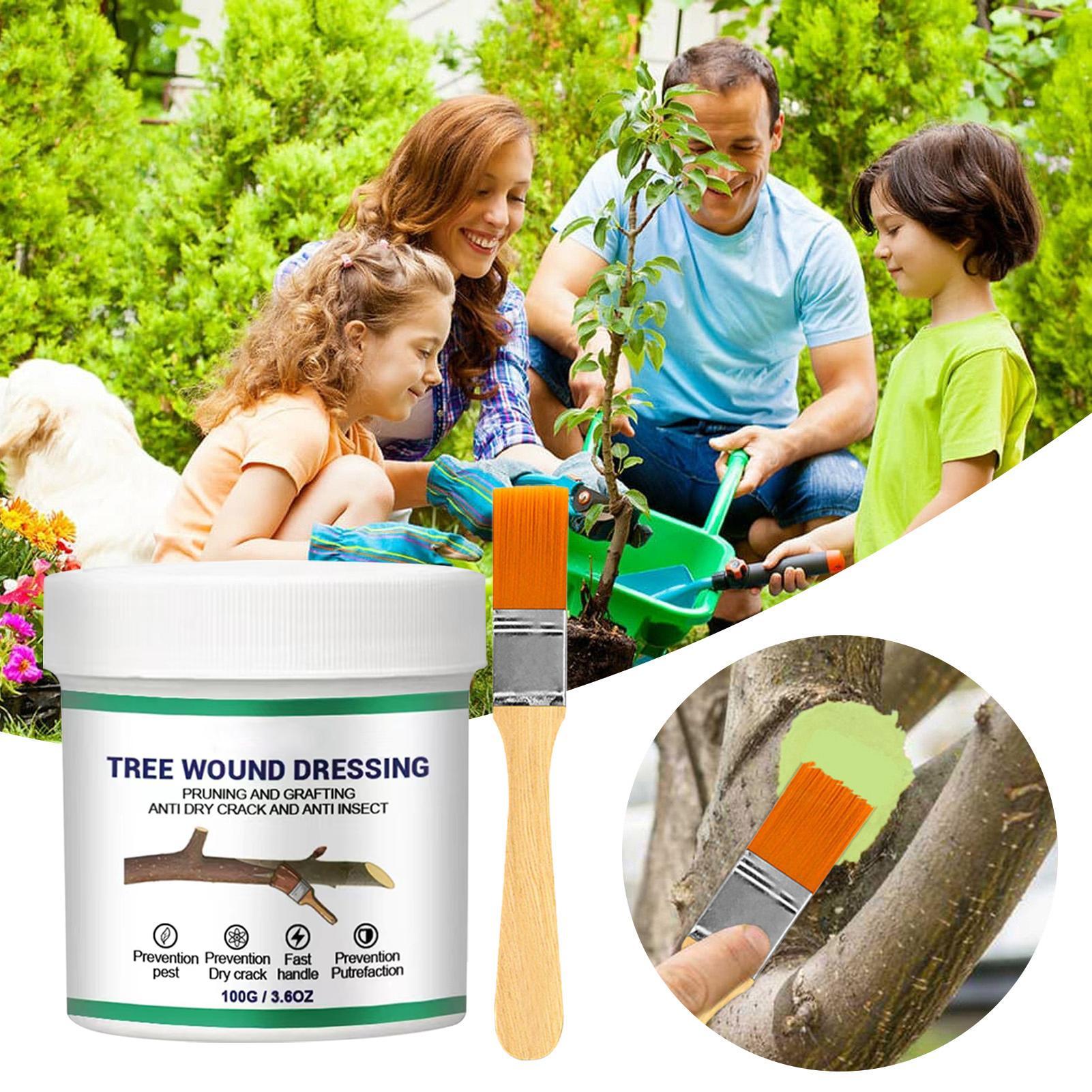 100g 나무 상처 접착제, 가지치기 접착제, 나무 정 - Bonsai Gardener 리뷰 및 가격