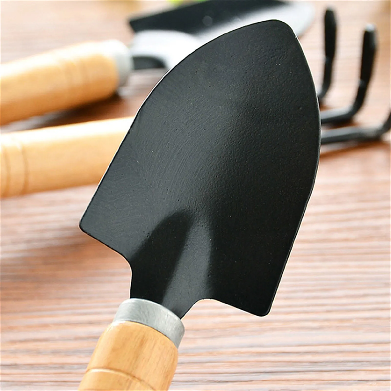 3피스 미니 정원 도구 세트, 다육 식물 분재 관리를  - Bonsai Tool Set 리뷰 및 가격