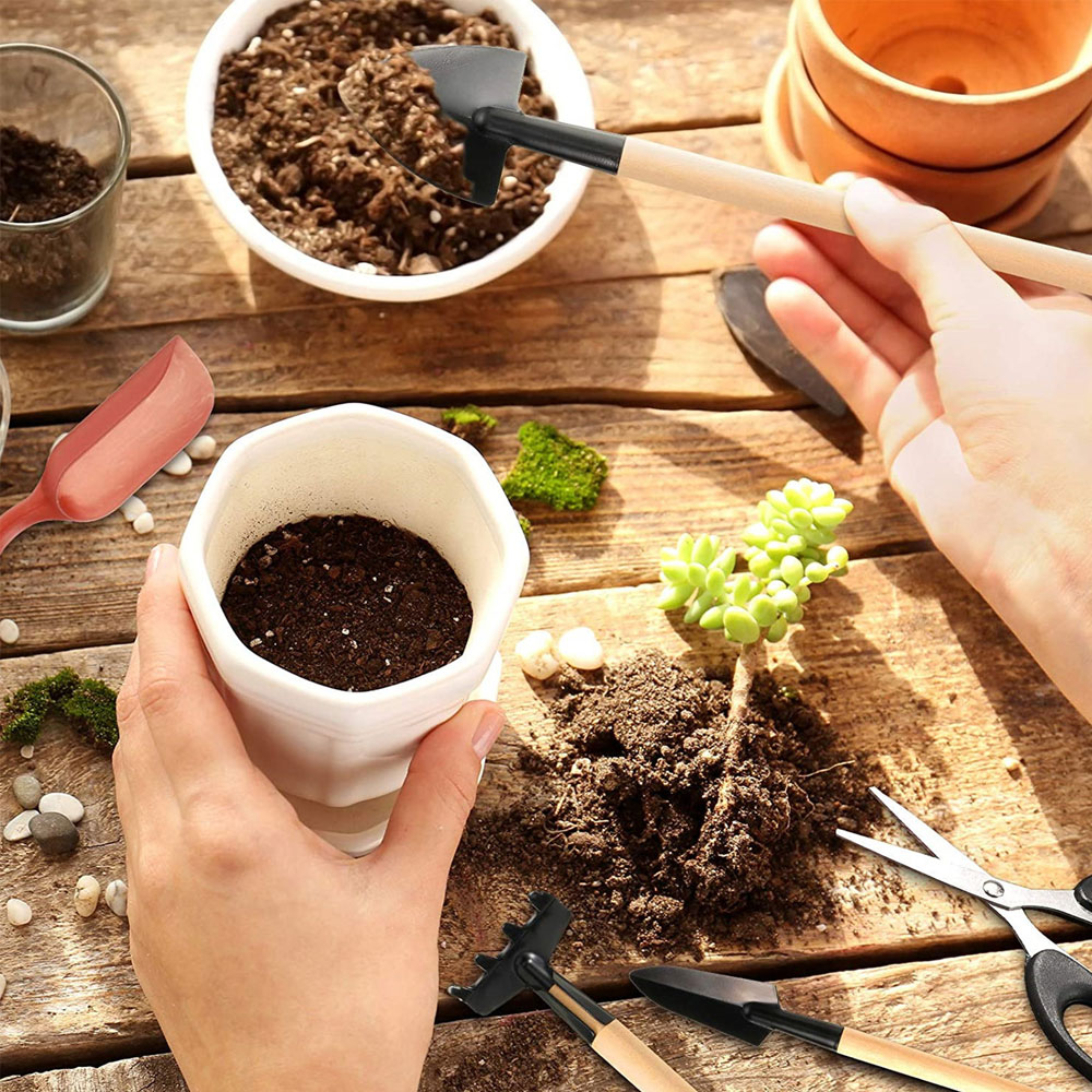 즙이 많은 식물 도구 미니 정원 손 도구 이식 야외 분 - Bonsai Garden Miniature 리뷰 및 가격